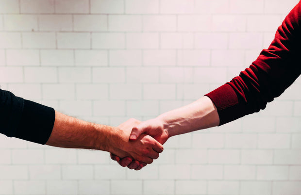 <h2>PARTNERSHOPS</h2>